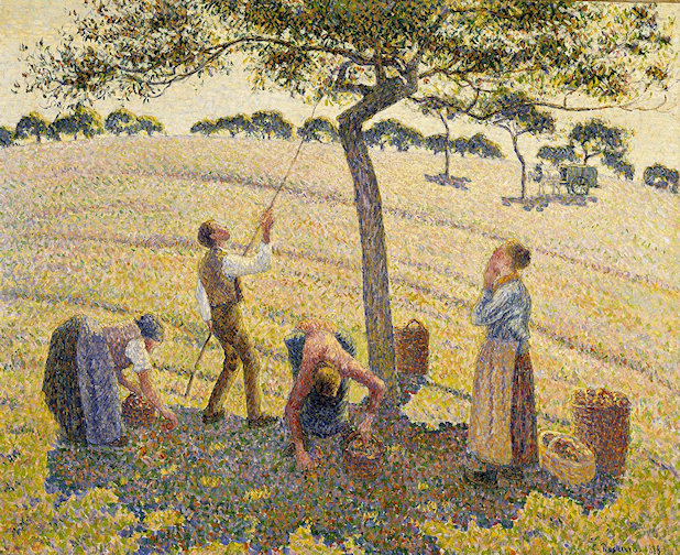 Three people harvesting apples from a tree. Two knocking them down with a pole; two picking up apples and putting them in containers.