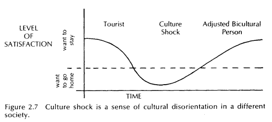diagram of phases of culture shock