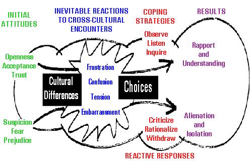 cultural adjustment